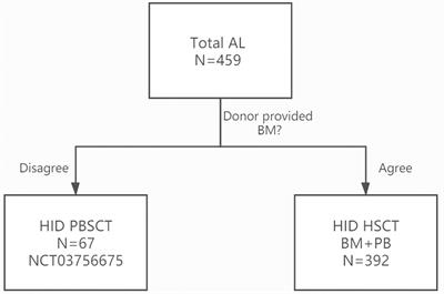 G-CSF-Primed Peripheral Blood Stem Cell Haploidentical Transplantation Could Achieve Satisfactory Clinical Outcomes for Acute Leukemia Patients in the First Complete Remission: A Registered Study